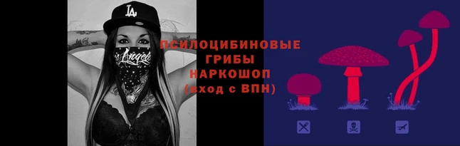 прущая мука Алзамай