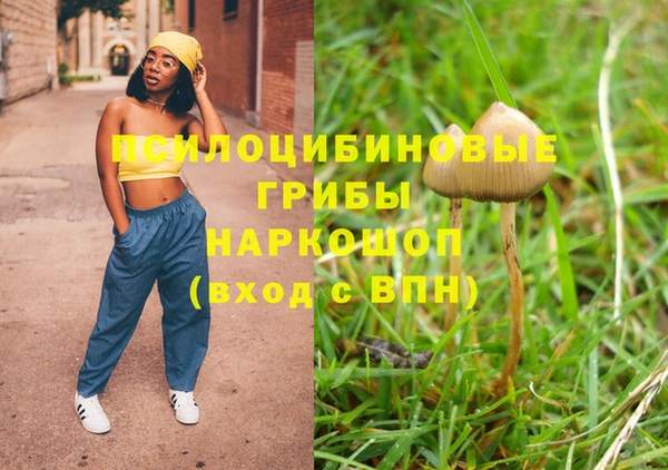 МДПВ Абинск